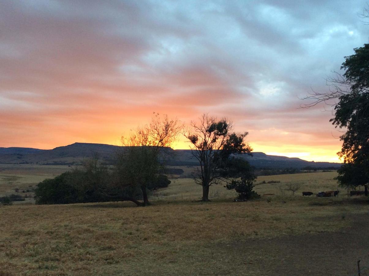 Petra'S Country Guesthouse Vryheid Bagian luar foto