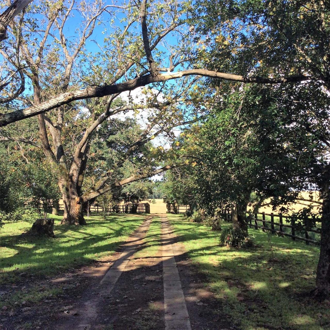 Petra'S Country Guesthouse Vryheid Bagian luar foto
